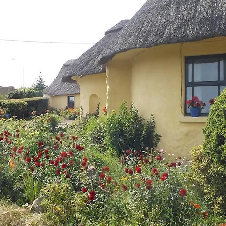 Spring Farm Tramore