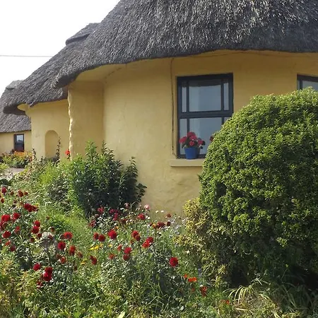 Spring Farm Tramore